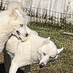 Meet your Posher, Jaden